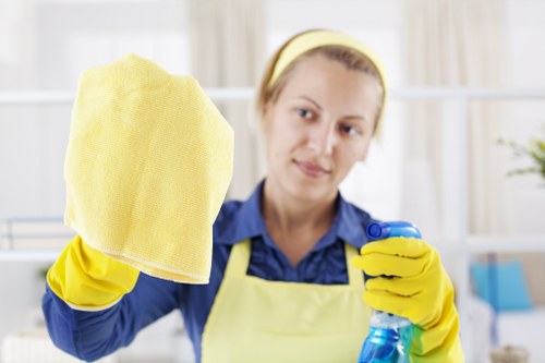 Professional domestic cleaning for a Sutton property bathroom