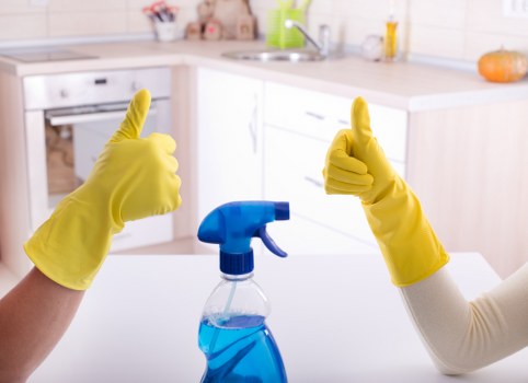 Regular domestic cleaning service for Sutton households
