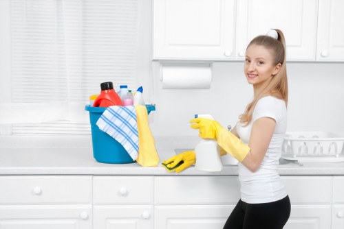 Stain removal for upholstery and household fabrics in a Sutton property