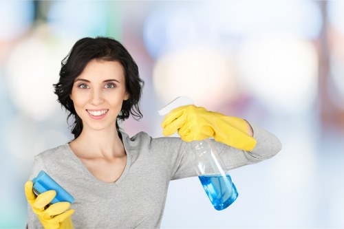 Steam carpet cleaning for a family property in Sutton