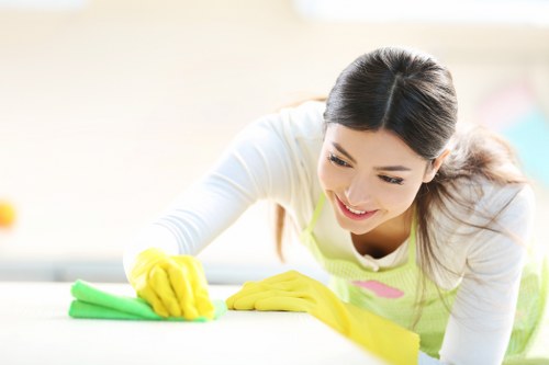 Deep mattress cleaning process in a local Sutton property