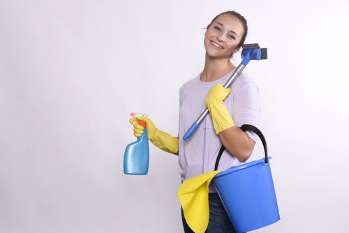 Curtain cleaning process for lined and delicate fabrics in Sutton